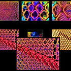 Perception's Enlightenment (Portfolio-Group) portfolio